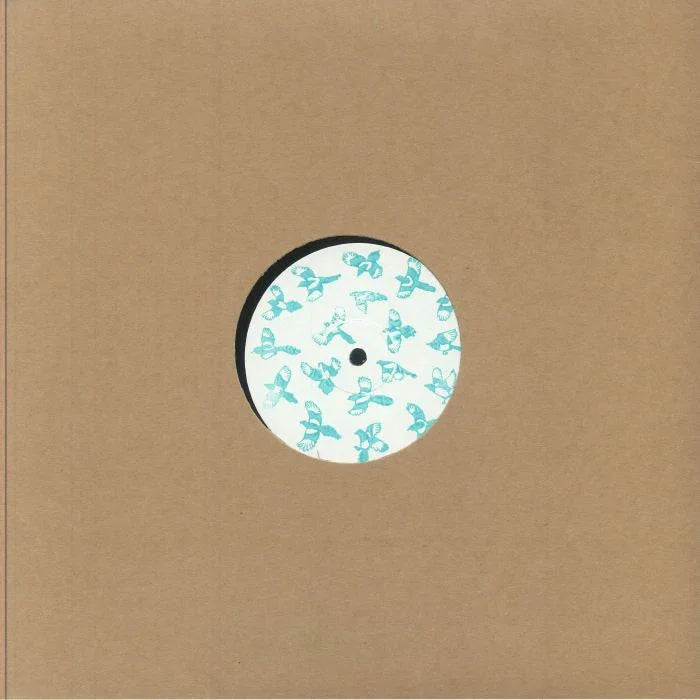 Vinyl record in brown sleeve with blue bird illustrations on the center label