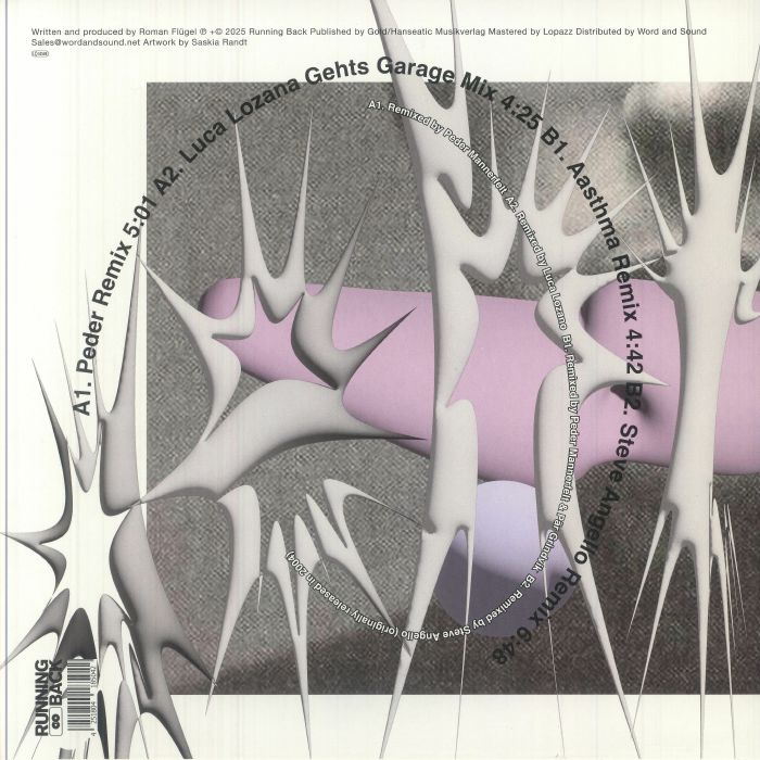 Roman Flugel - Geht's Noch? 21st Year Anniversary Part 2 (12")