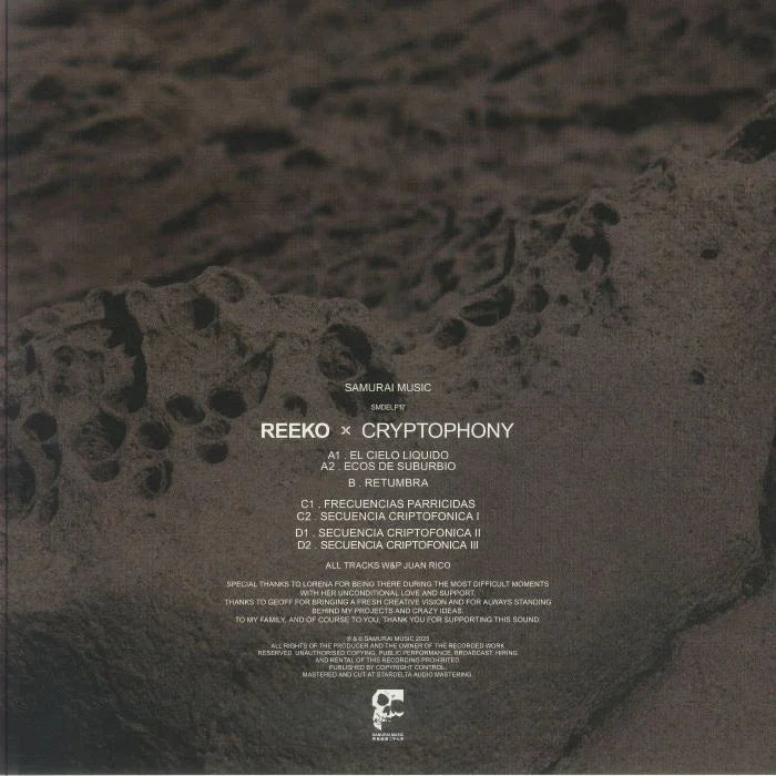 Textured stone album cover with tracklist and artist names Reeko and Cryptophony in white font.