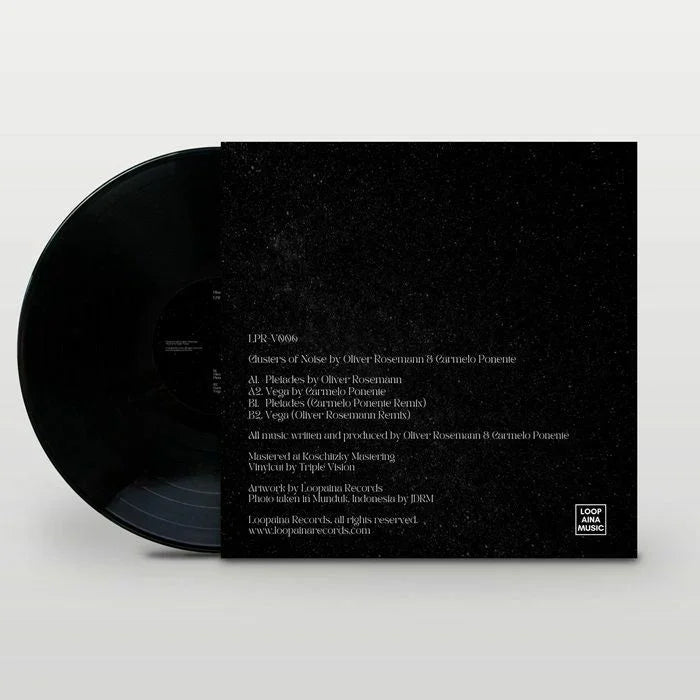 Black vinyl record with black and white speckled album cover displaying tracklist and credits.
