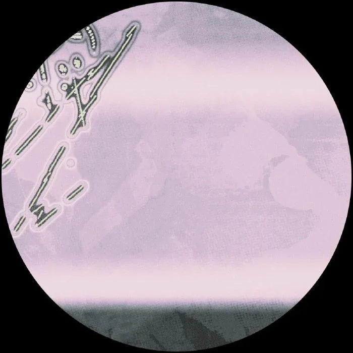 Abstract light pink record label with geometric line art and soft horizontal bands