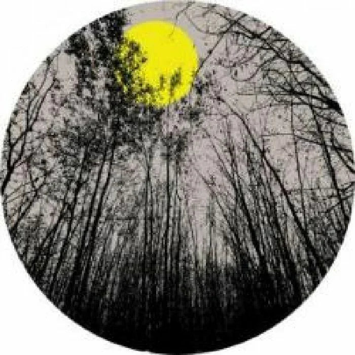 Vinyl record with silhouette of trees and bright yellow moon in a dark forest scene