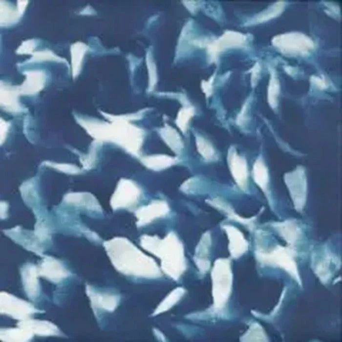 Abstract blue and white album cover with organic, fluid shapes and textured pattern