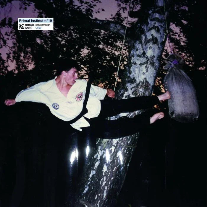 Martial artist in uniform performing high kick outdoors at dusk near tree and hanging bag