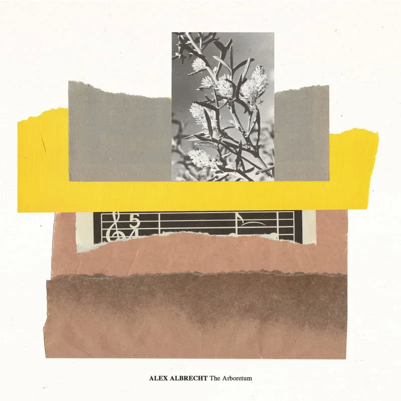 Abstract album cover with floral black and white photo, layered torn paper, music notes, and text 'Alex Albrecht The Arboretum'.