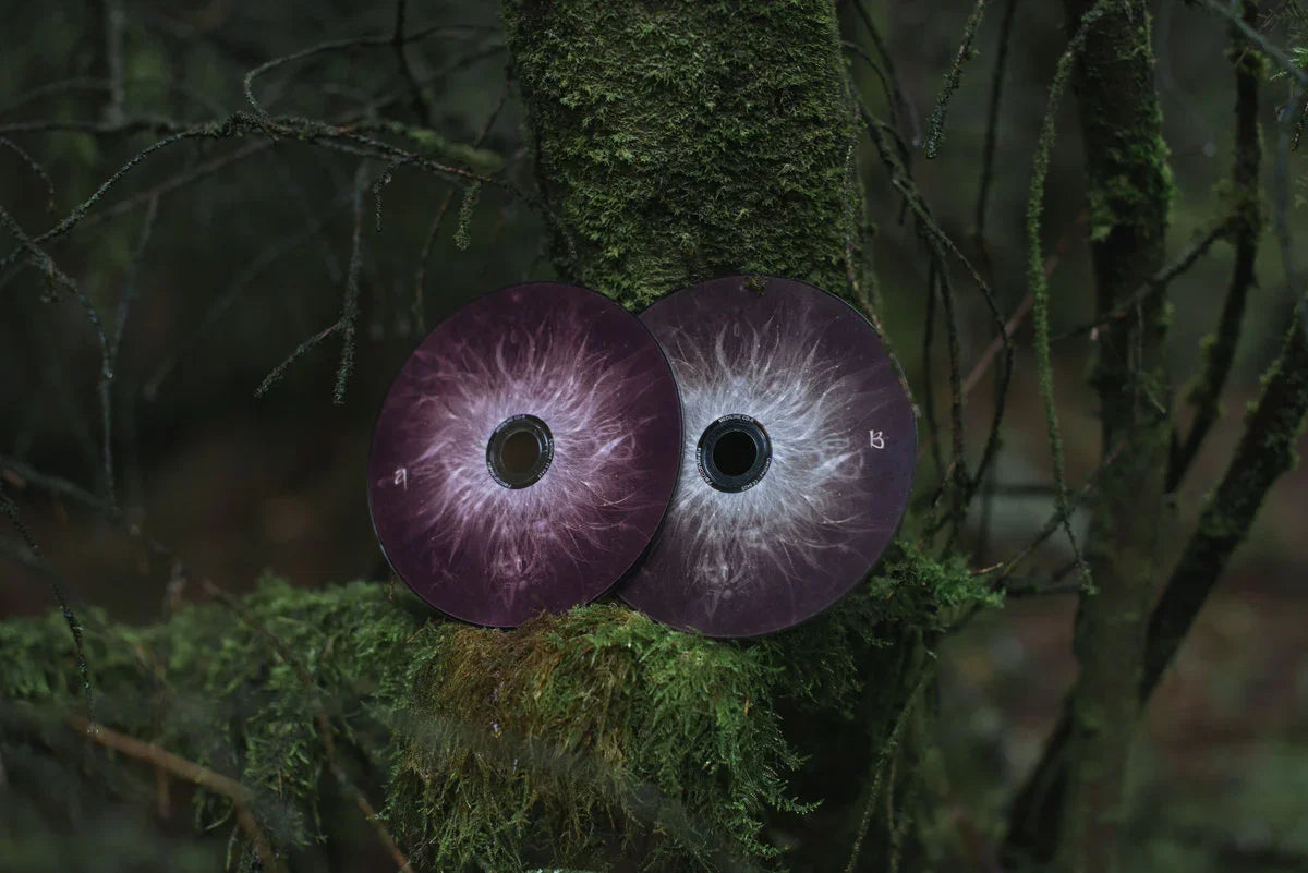 Two abstract design CDs leaning against a mossy tree in a forest setting