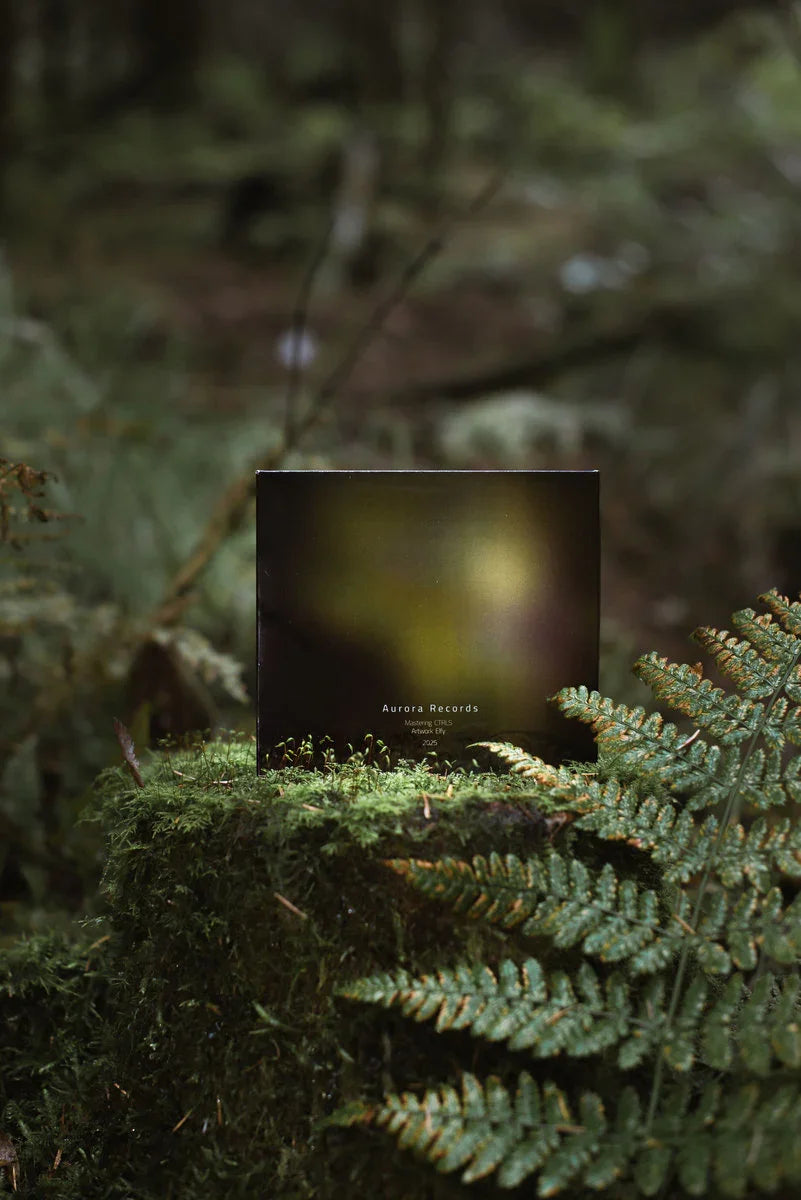Aurora Records vinyl album cover on mossy log in forest with ferns, ambient music theme.