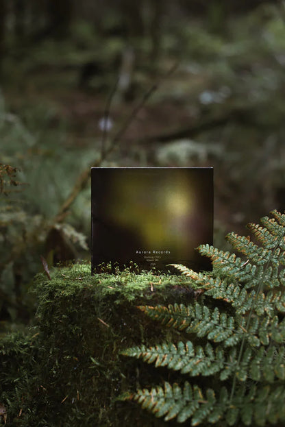 Aurora Records vinyl album cover on mossy log in forest with ferns, ambient music theme.
