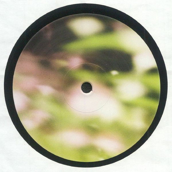 Close-up of a vinyl record with a blurred green and pink floral pattern on the label