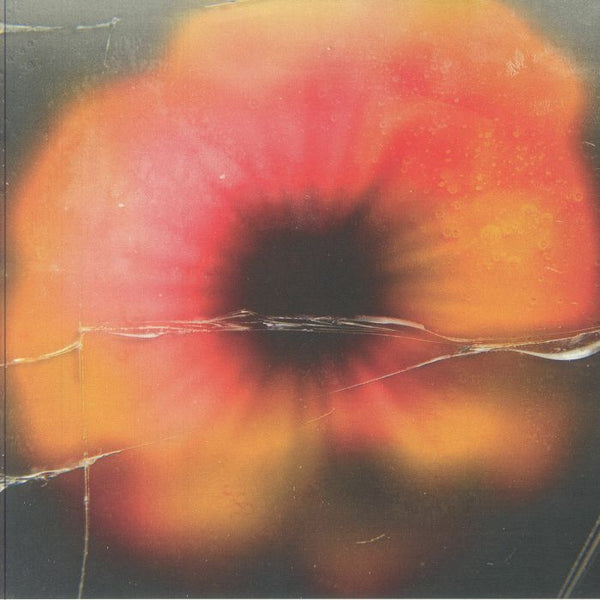 Objekt Chicken Garaage 12 Inch Vinyl Record Breakbeat Techno Acid