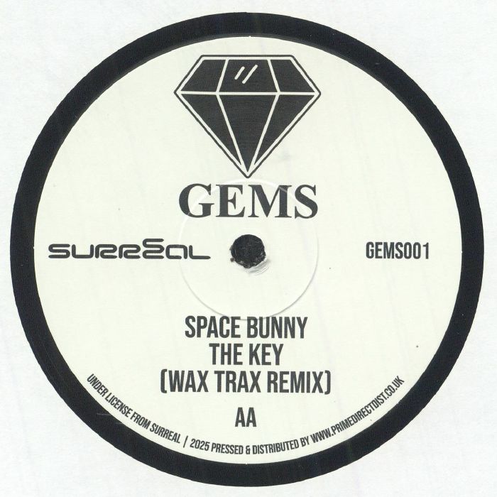 RADICAL CHIC / SPACE BUNNY - In Da Shadows (12")