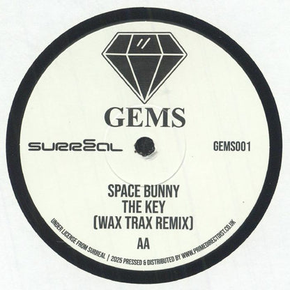 RADICAL CHIC / SPACE BUNNY - In Da Shadows (12")