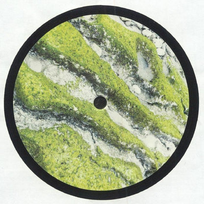 Close-up of a round vinyl record with green and white marbled moss-like texture and black border