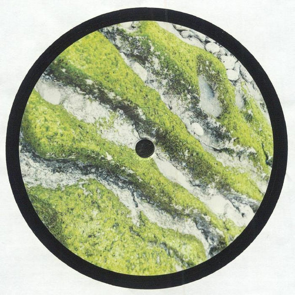 Close-up of a round vinyl record with green and white marbled moss-like texture and black border