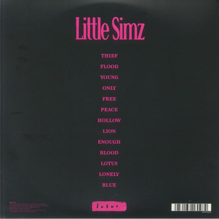 Black album cover with pink text listing Little Simz songs and album title 'Sometimes I Might Be Introvert'