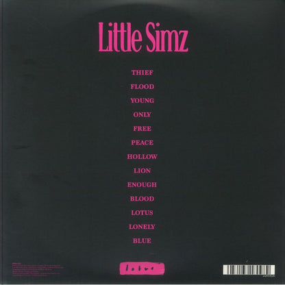 Black album cover with pink text listing Little Simz songs and album title 'Sometimes I Might Be Introvert'