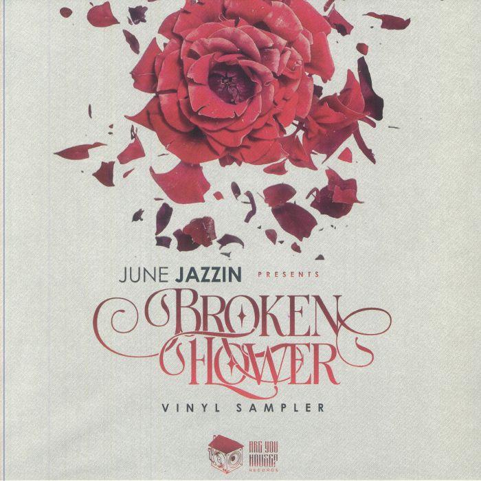Broken red rose with scattered petals on 'Broken Flower Vinyl Sampler' album cover
