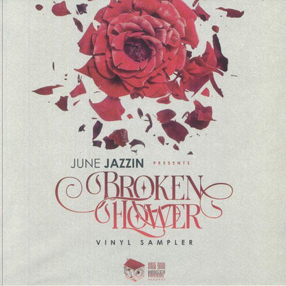 Broken red rose with scattered petals on 'Broken Flower Vinyl Sampler' album cover