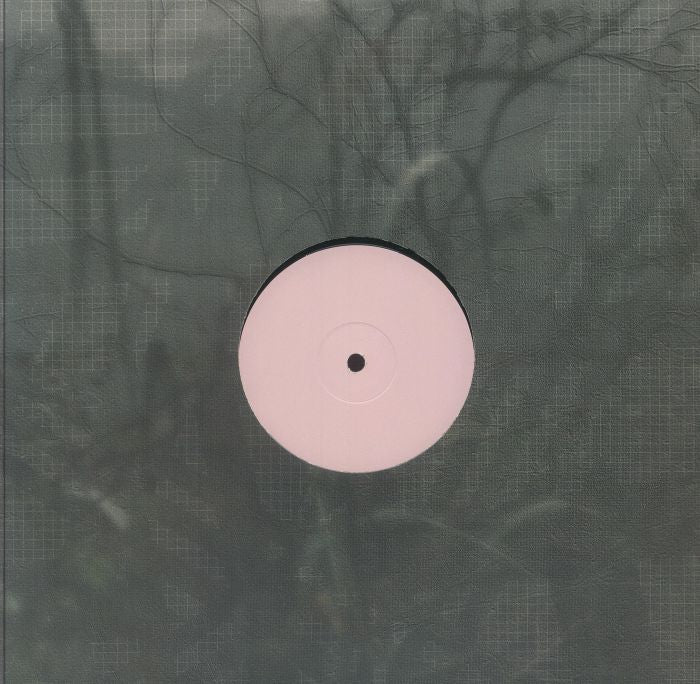 Vinyl record with plain pink label in a transparent sleeve showing a textured dark background