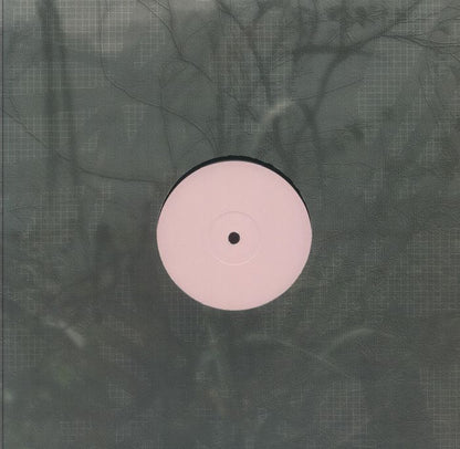 Vinyl record with plain pink label in a transparent sleeve showing a textured dark background