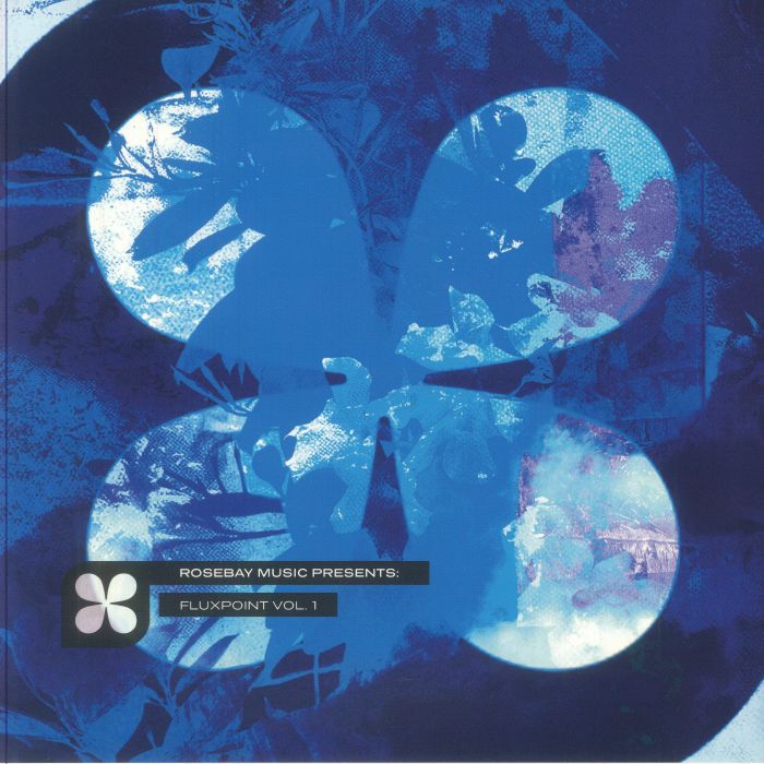 Rosebay Music album cover featuring abstract blue butterfly shape and text Fluxpoint Vol. 1