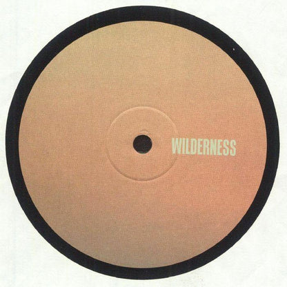 Minimalist vinyl record with tan label and the word 'WILDERNESS' in white text