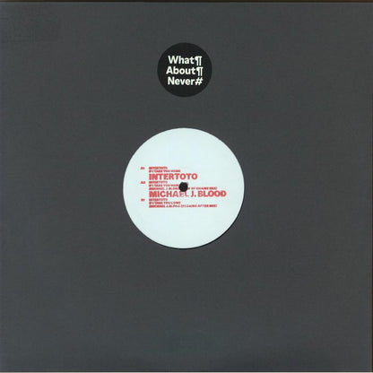 INTERTOTO - If I Take You Home (Michael J Blood Mixes) (12")
