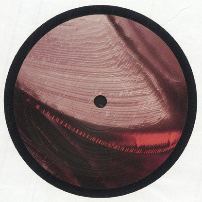 Abstract artwork on vinyl record with maroon, pink, and black swirled pattern
