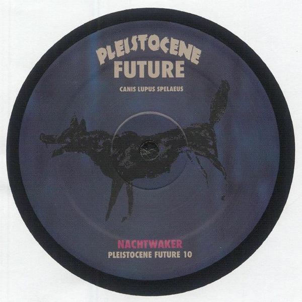 Close-up of Pleistocene Future vinyl record featuring black wolf graphic and text on dark blue label
