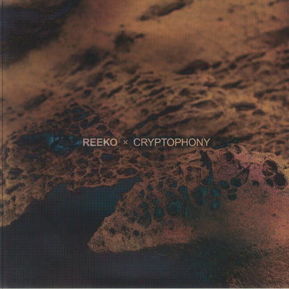 REEKO x CRYPTOPHONY album cover with textured brown and dark abstract organic shapes