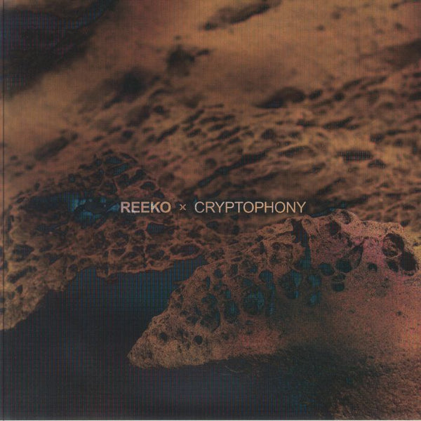 REEKO x CRYPTOPHONY album cover with textured brown and dark abstract organic shapes