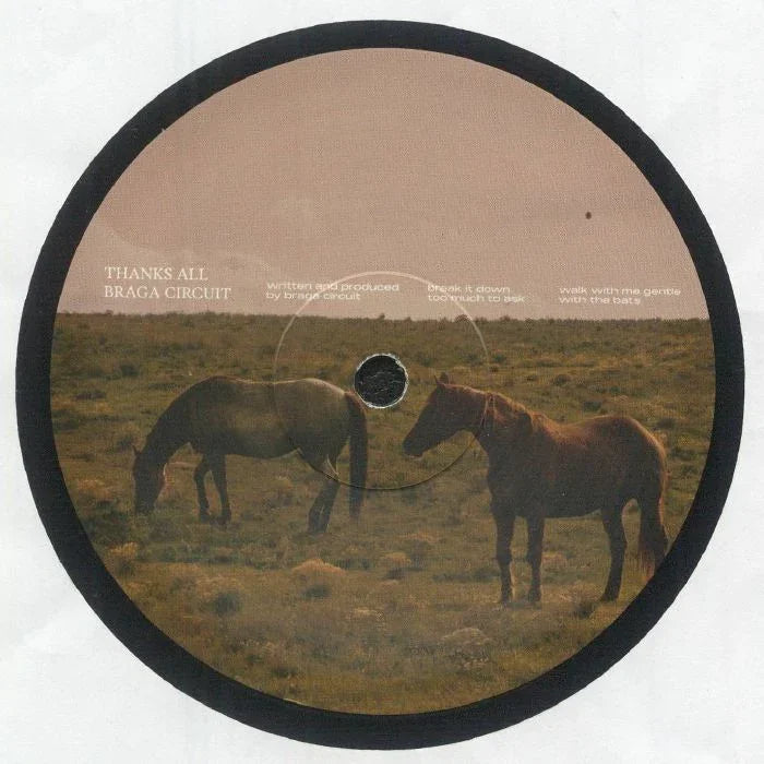 Disc with two horses in a field and text on a white background
