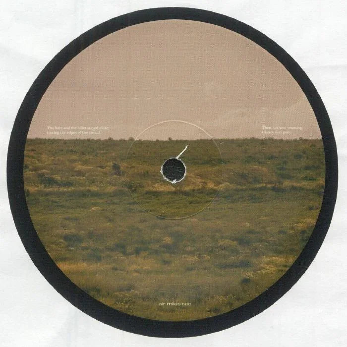 Round vinyl record with landscape design on a white background