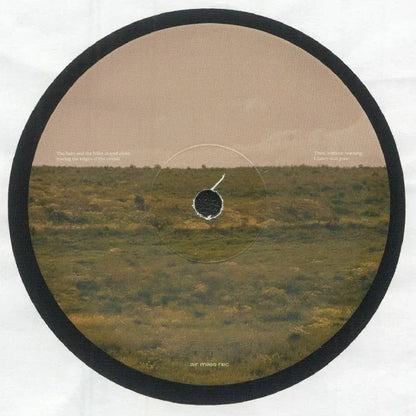Round vinyl record with landscape design on a white background