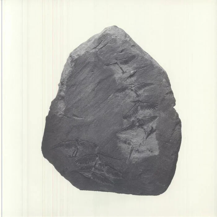 https://imagescdn.juno.co.uk/full/CS1122054-01A-BIG.jpg