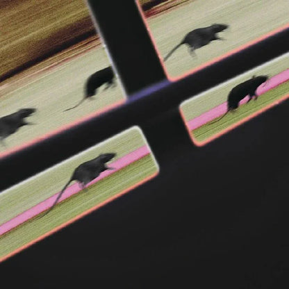 Multiple images of a mouse running on a pink path with a black background.