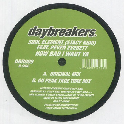 SOUL ELEMENT - How Bad I Want Ya (12")