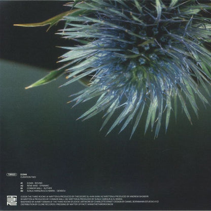 D DAN - Curation Two (12")