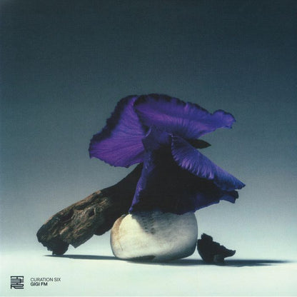 GIGI FM - Curation Six: Gigi FM (12")