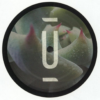 ANIKA KUNST - The Power Of Presence (EP)