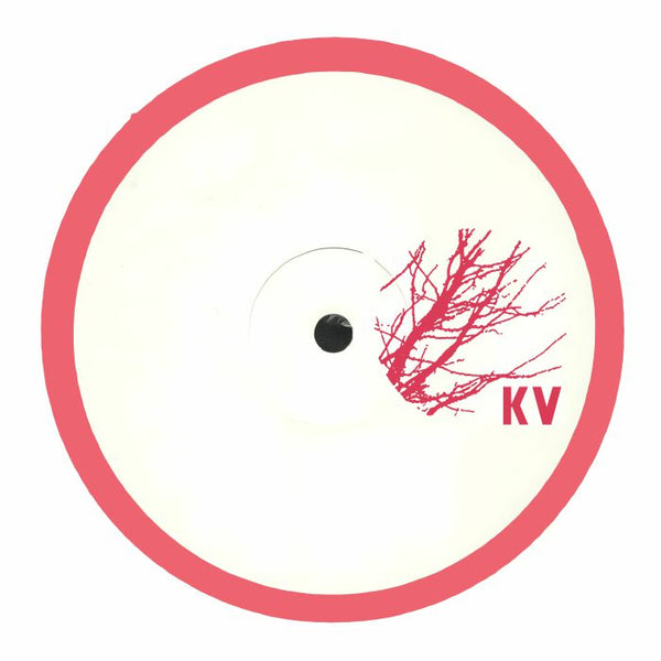 POD / EDWARD RICHARDS - A Hallucinatory Forest (12")