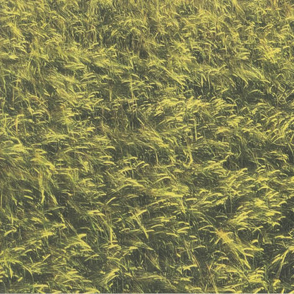 Skee Mask Pool Heavyweight Vinyl 3XLP Ilian Tape Techno Album