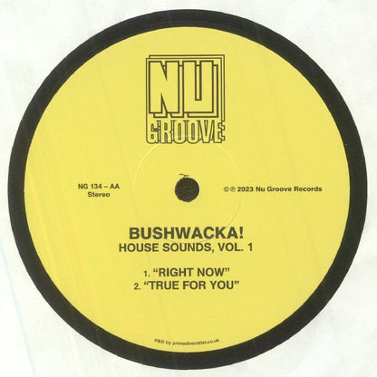 BUSHWACKA - House Sounds Vol 1 (12")