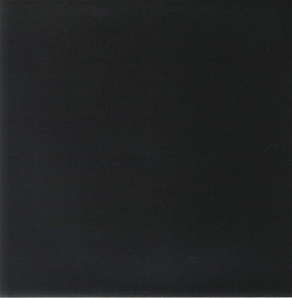 Plain black vinyl record sleeve cover with no visible text or artwork