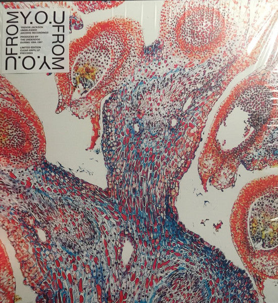 Pre- - Y.O.U (LP)