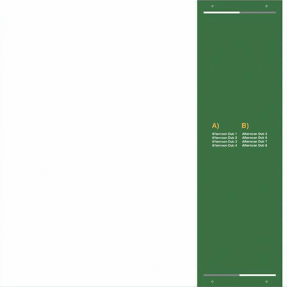 EXOTIC GARDENS - Afternoon Dubs (LP)