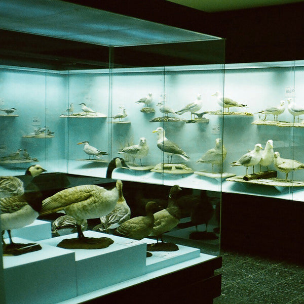 YOGG - Don't You (EP) (PRE ORDER)