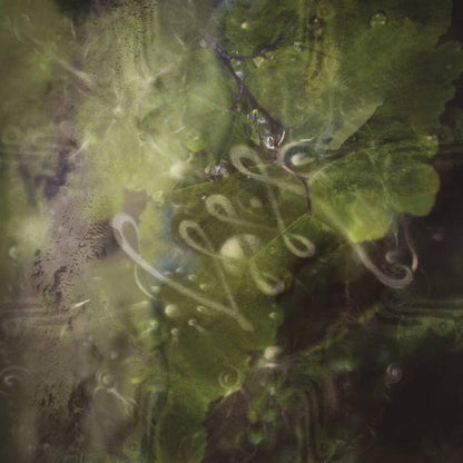 Abstract album cover art with green leaves, water droplets, and ethereal swirling patterns