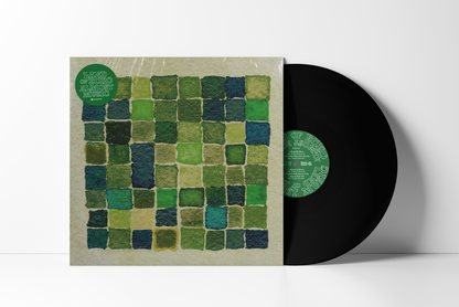 Land of Echo - Almost Music Debut Vinyl LP: Altered Disco, Downtempo Soul