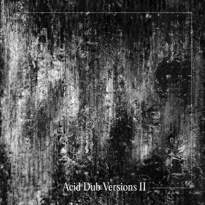 OM UNIT - Acid Dub Versions II (2x LP)